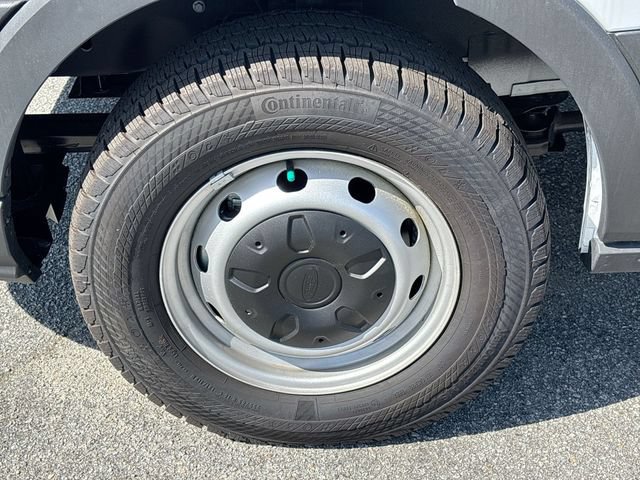New 2024 Ford Transit 250 Low Roof w/ Load Area Protection Package RWD image 13