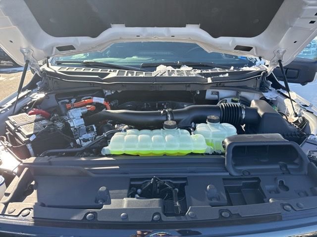 New 2025 Ford F150 XLT w/ Equipment Group 302A MID image 22
