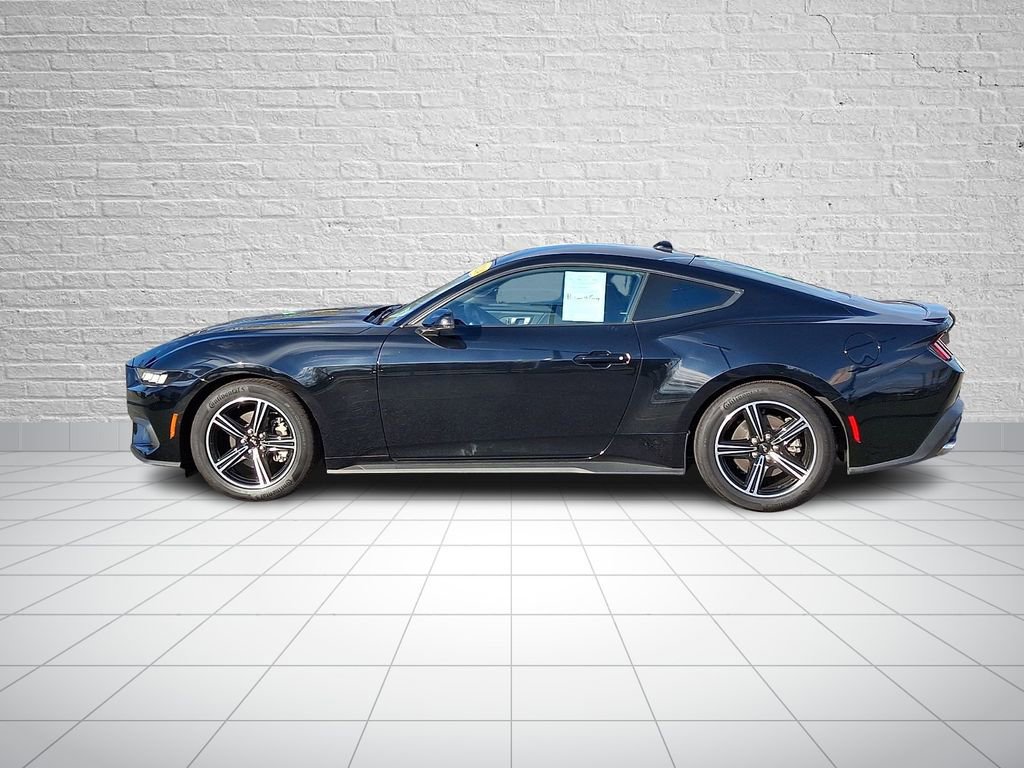 Used 2024 Ford Mustang Premium image 7