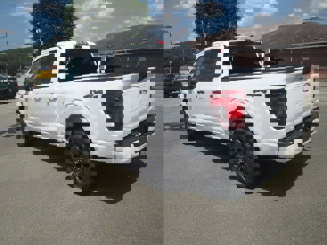 New 2025 Ford F150 STX w/ Equipment Group 200A image 5