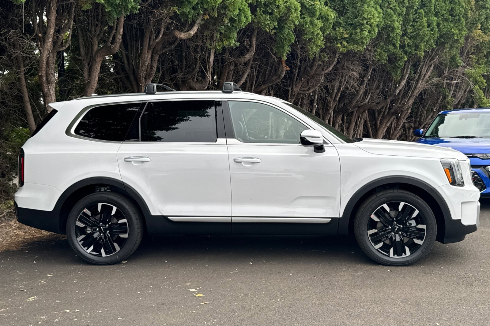 New 2025 Kia Telluride SX Prestige image 2