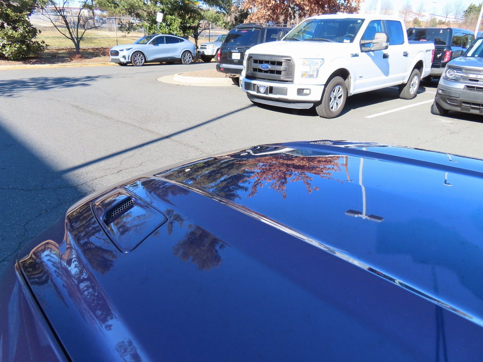 Used 2015 Ford Mustang 50 Years image 9