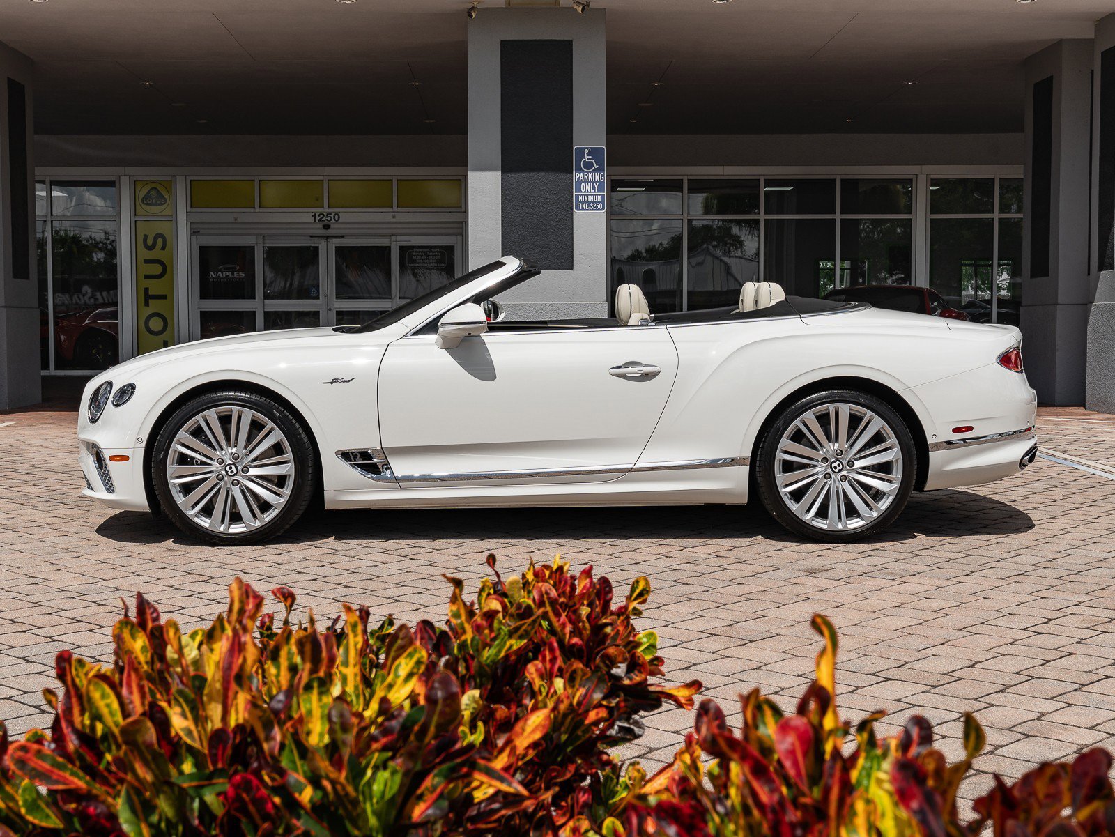 Used 2022 Bentley Continental GT Speed image 7