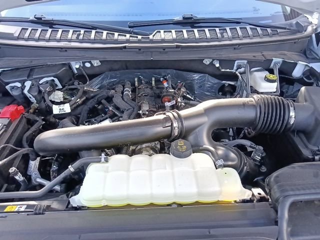 Used 2025 Ford Expedition Active image 41