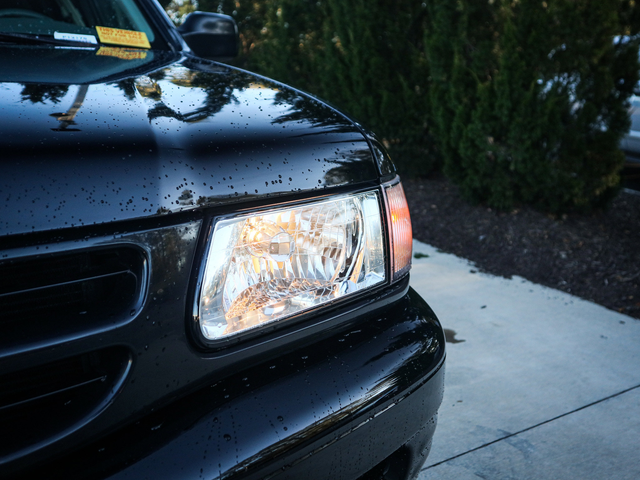 Used 2002 Isuzu Rodeo LS image 5