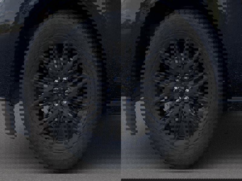 New 2026 Ford Expedition Platinum w/ Stealth Appearance Package image 19