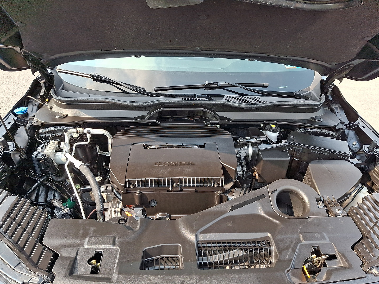 Used 2025 Honda Pilot Sport image 29