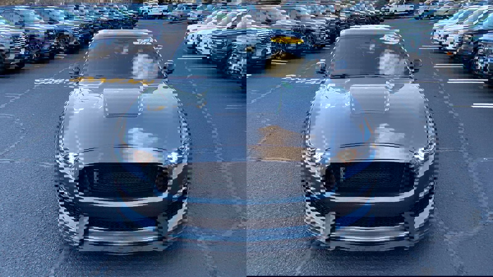 Used 2020 Ford Mustang Shelby GT350 w/ Technology Package image 2