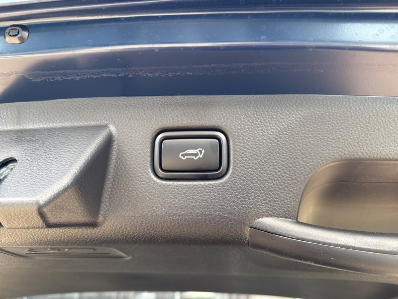 New 2026 Kia Seltos EX w/ EX Sunroof Package image 11