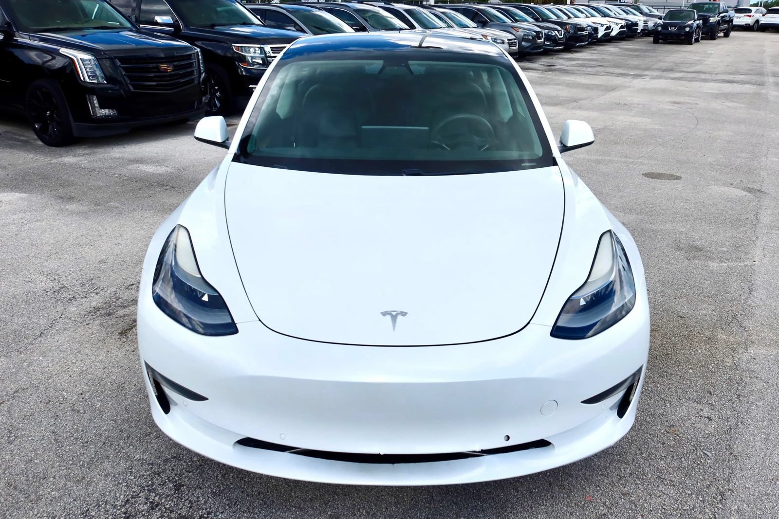 Used 2021 Tesla Model 3 Standard Range Plus RWD image 7