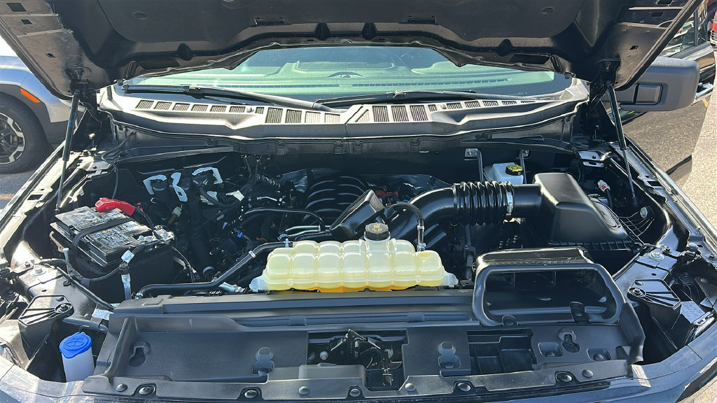 Used 2025 Ford F150 XLT w/ Equipment Group 301A Standard RWD image 3