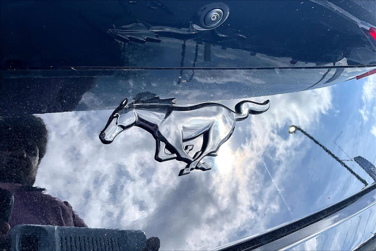 New 2026 Ford Mustang Coupe image 14