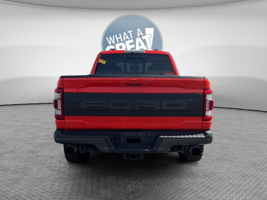 Used 2021 Ford F150 Raptor w/ Equipment Group 801A High AWD/4WD image 5
