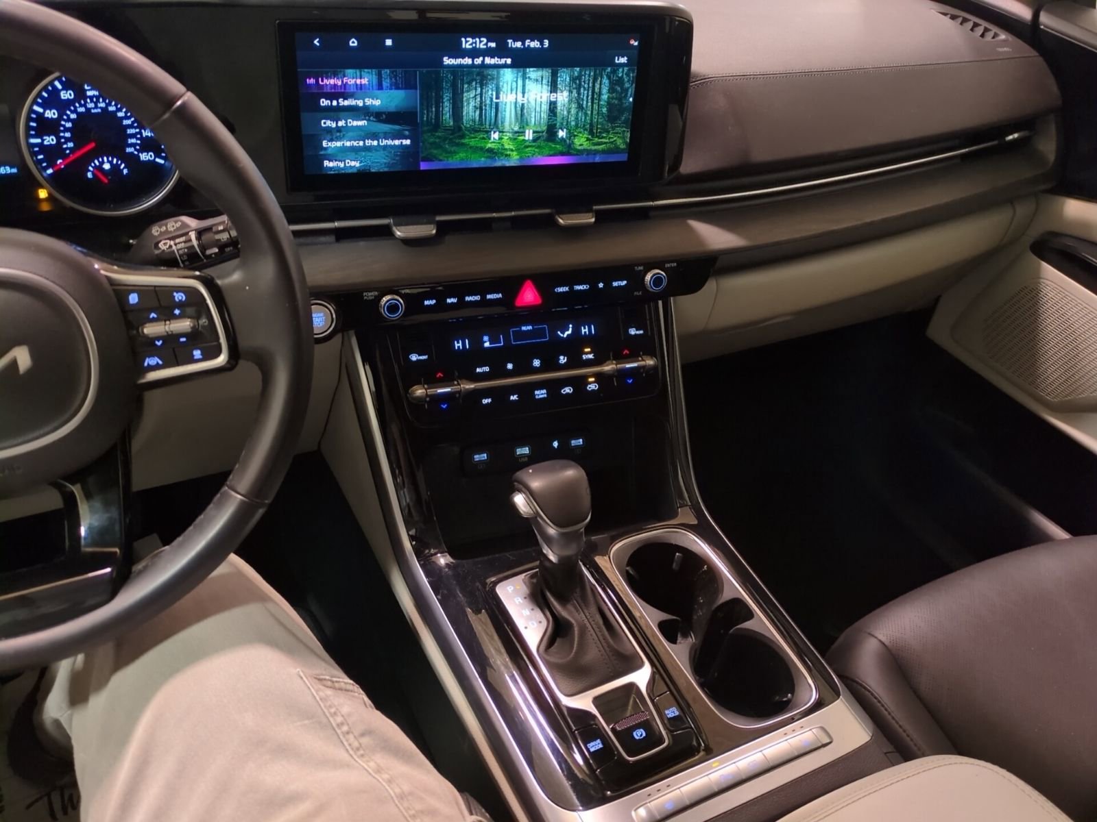 Certified 2023 Kia Carnival EX image 24