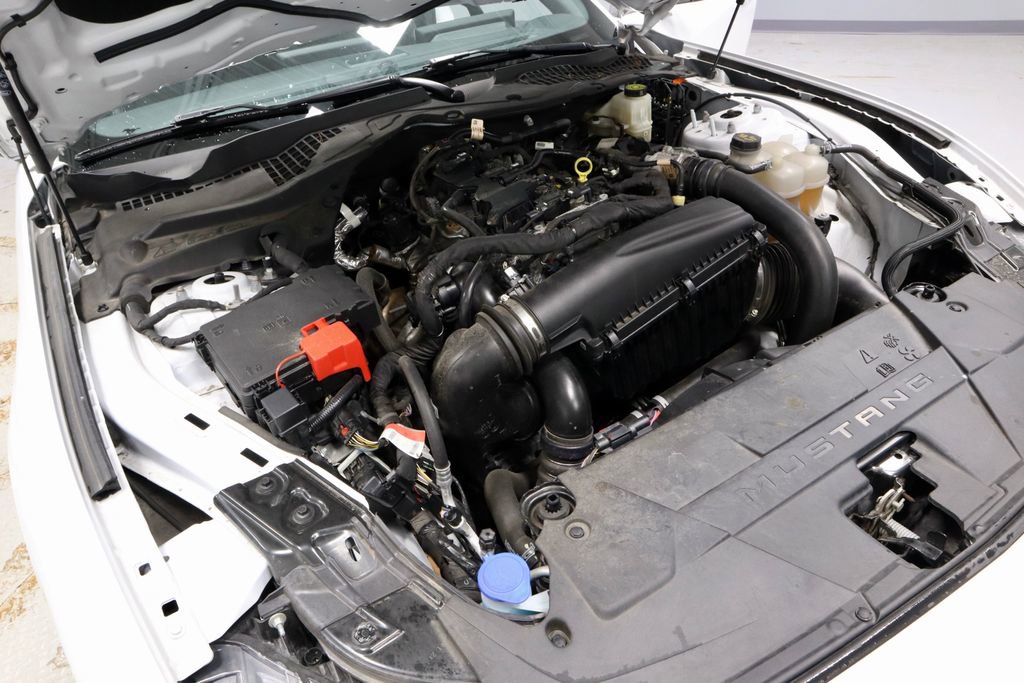 Certified 2024 Ford Mustang EcoBoost image 18
