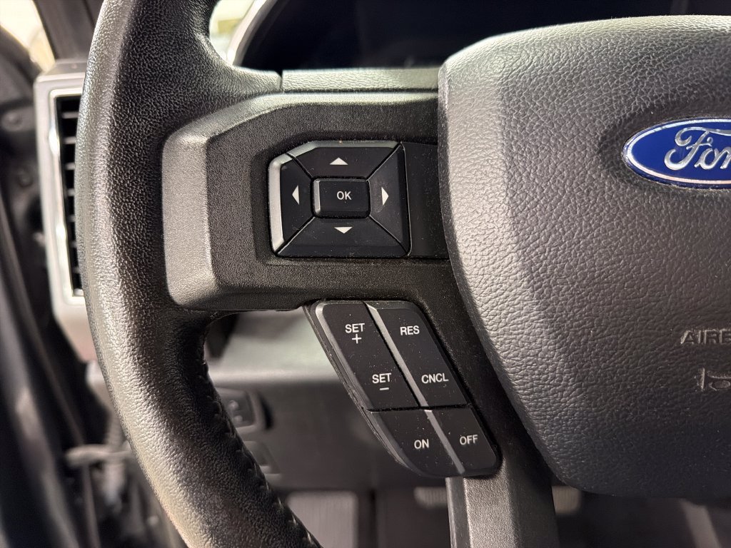 Used 2019 Ford F150 XLT w/ Equipment Group 302A Luxury RWD image 19