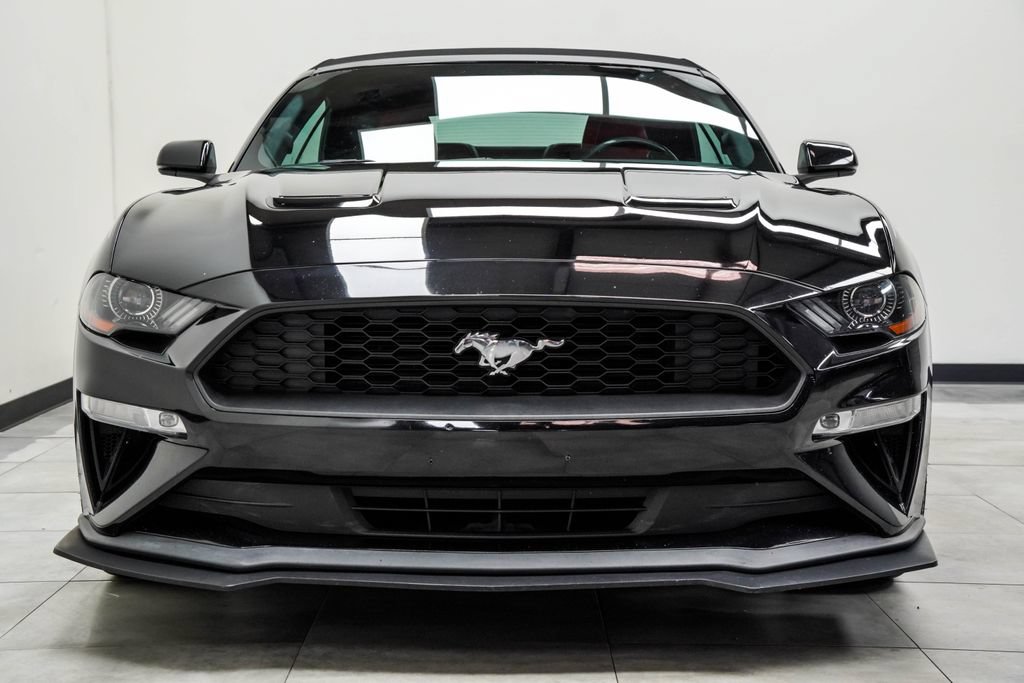 Used 2019 Ford Mustang Premium w/ Equipment Group 201A RWD image 3
