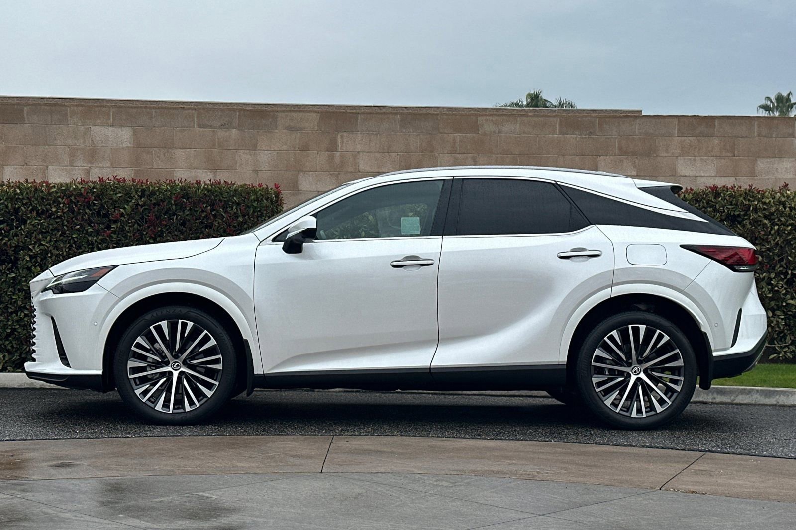 Certified 2024 Lexus RX 350 Premium Plus image 7