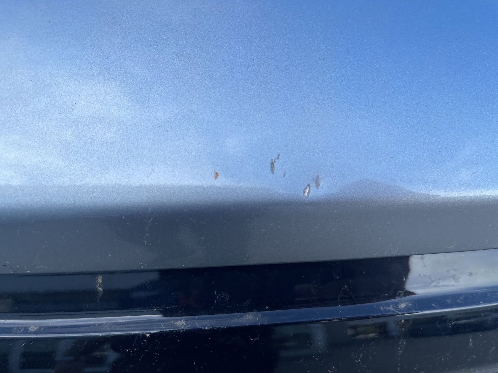 Used 2024 Ford F150 XLT w/ Equipment Group 302A MID image 16