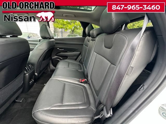 Used 2025 Hyundai Tucson Limited AWD/4WD image 13