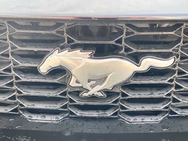 Used 2024 Ford Mustang Premium RWD image 28