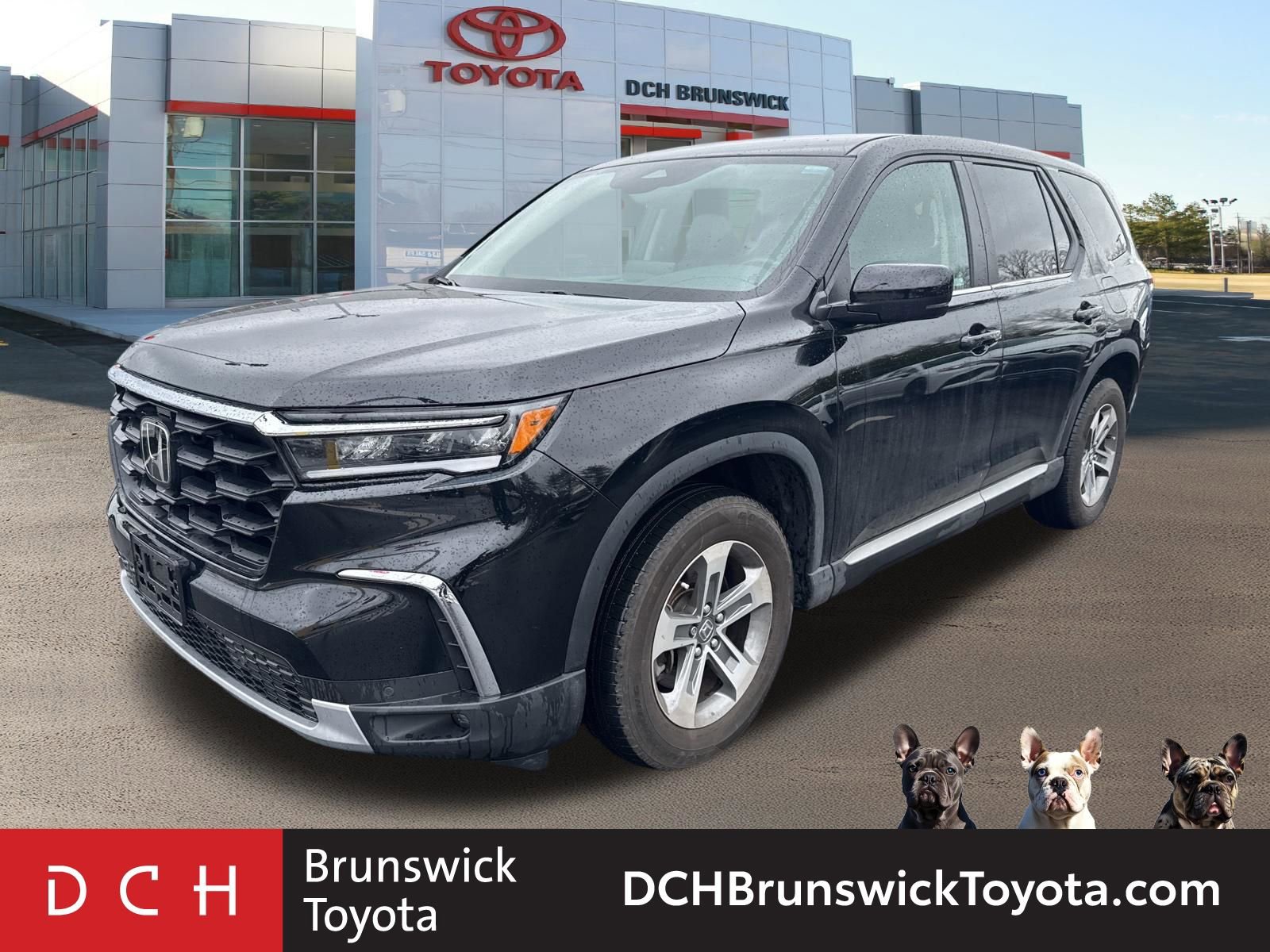 Used 2024 Honda Pilot EX-L image 1