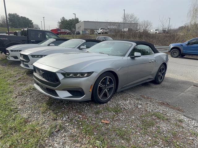 Used 2024 Ford Mustang Premium image 2