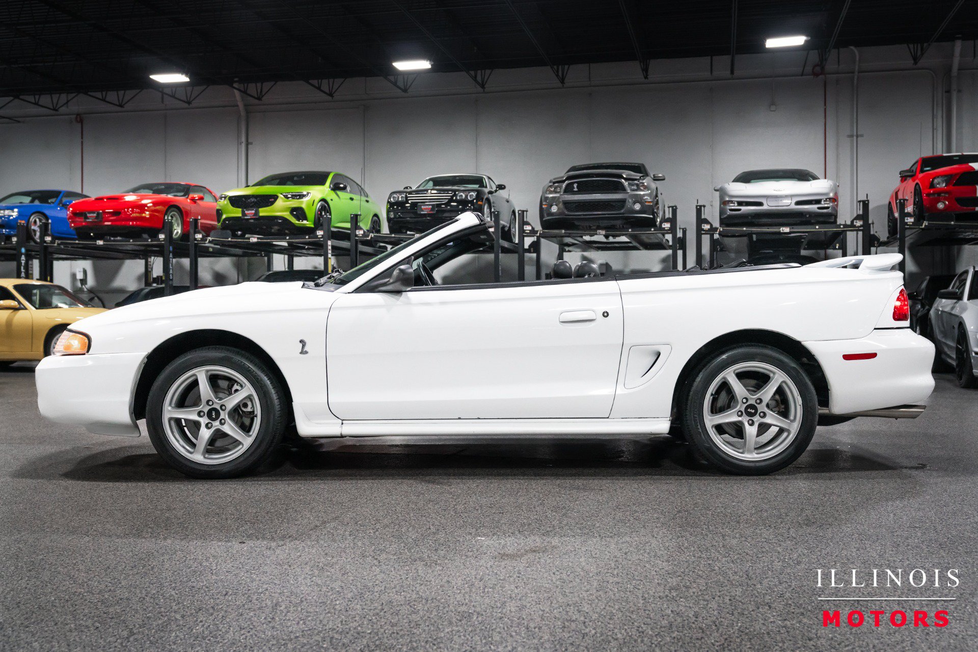 Used 1998 Ford Mustang Cobra RWD image 2