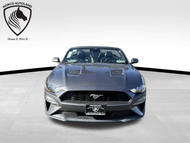 Used 2022 Ford Mustang Premium image 2
