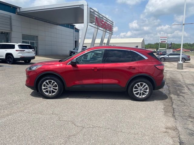 Used 2022 Ford Escape SE AWD/4WD image 6