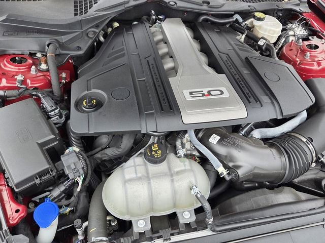 Certified 2020 Ford Mustang GT w/ Equipment Group 301A image 19