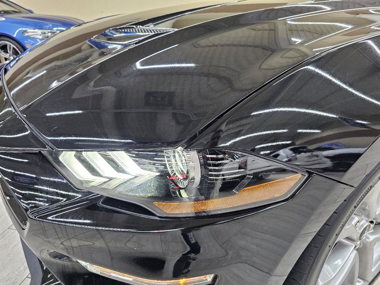 Used 2023 Ford Mustang GT Premium w/ Equipment Group 401A RWD image 11