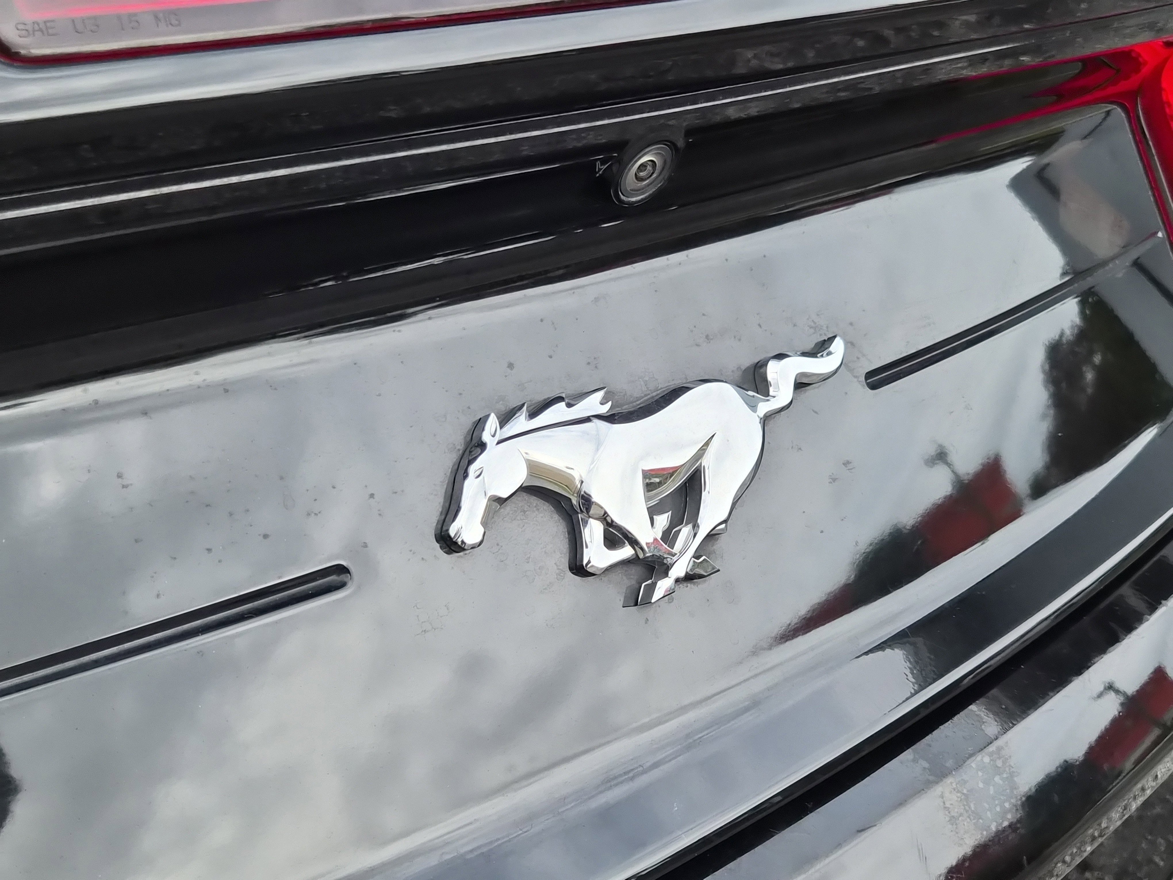 Used 2023 Ford Mustang Premium w/ Equipment Group 201A image 6