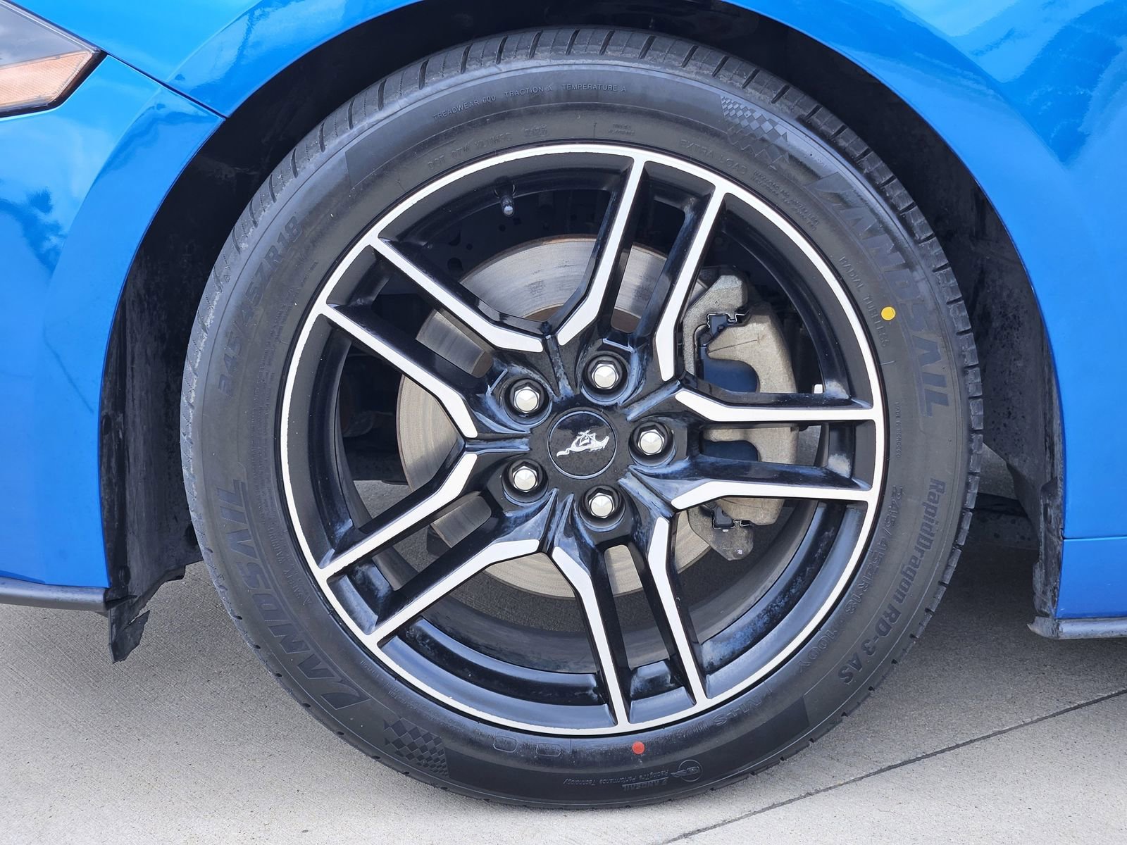 Used 2020 Ford Mustang Coupe w/ Equipment Group 101A RWD image 12