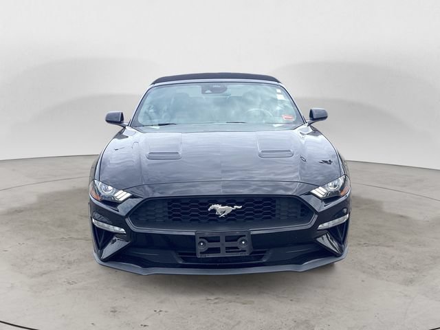 Used 2022 Ford Mustang Premium RWD image 8