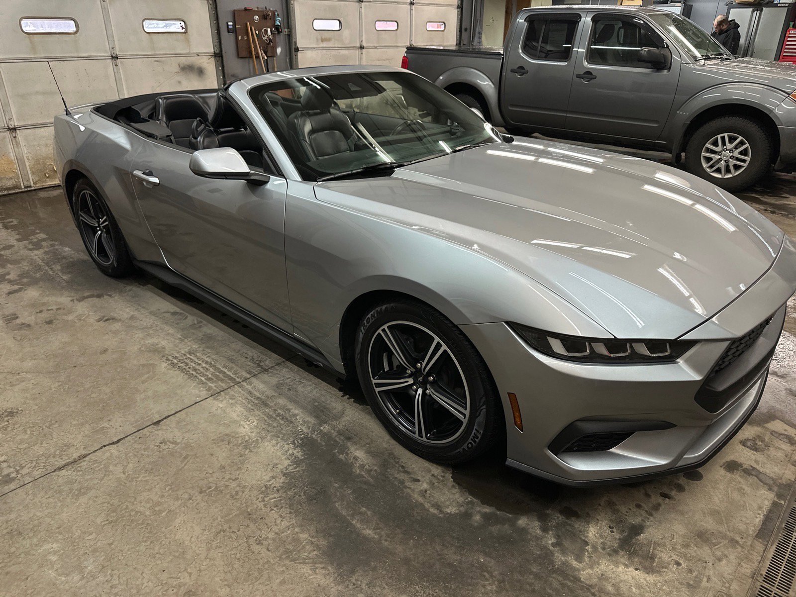 Used 2024 Ford Mustang Premium image 7