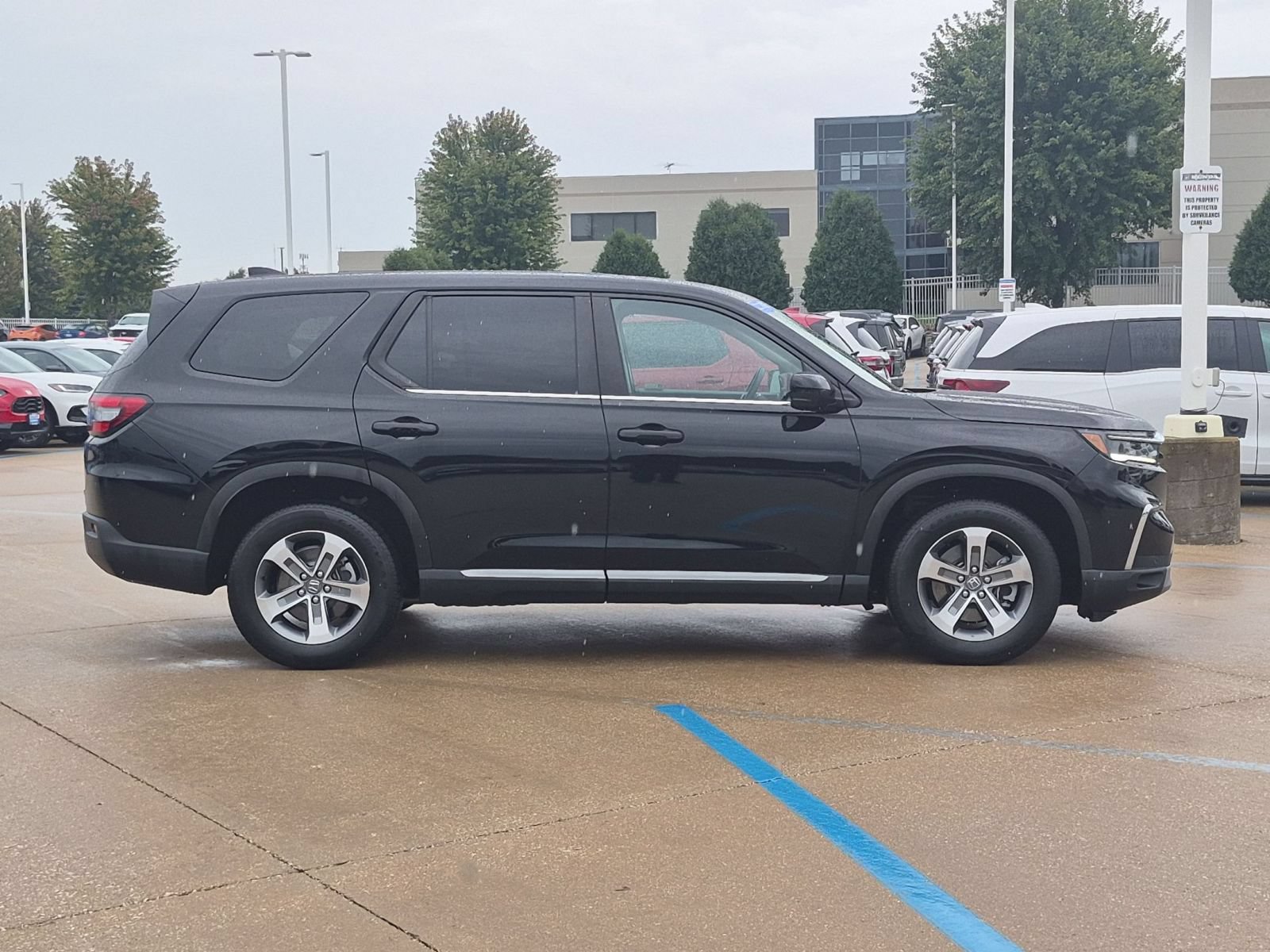 Certified 2025 Honda Pilot EX-L image 5
