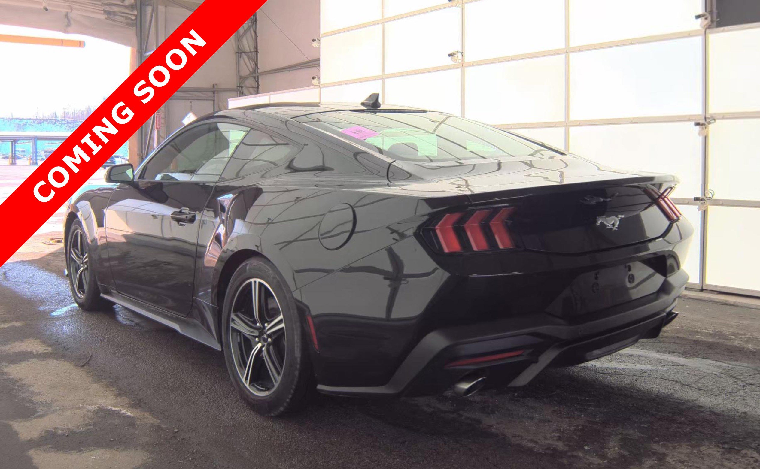 Used 2024 Ford Mustang Coupe image 5