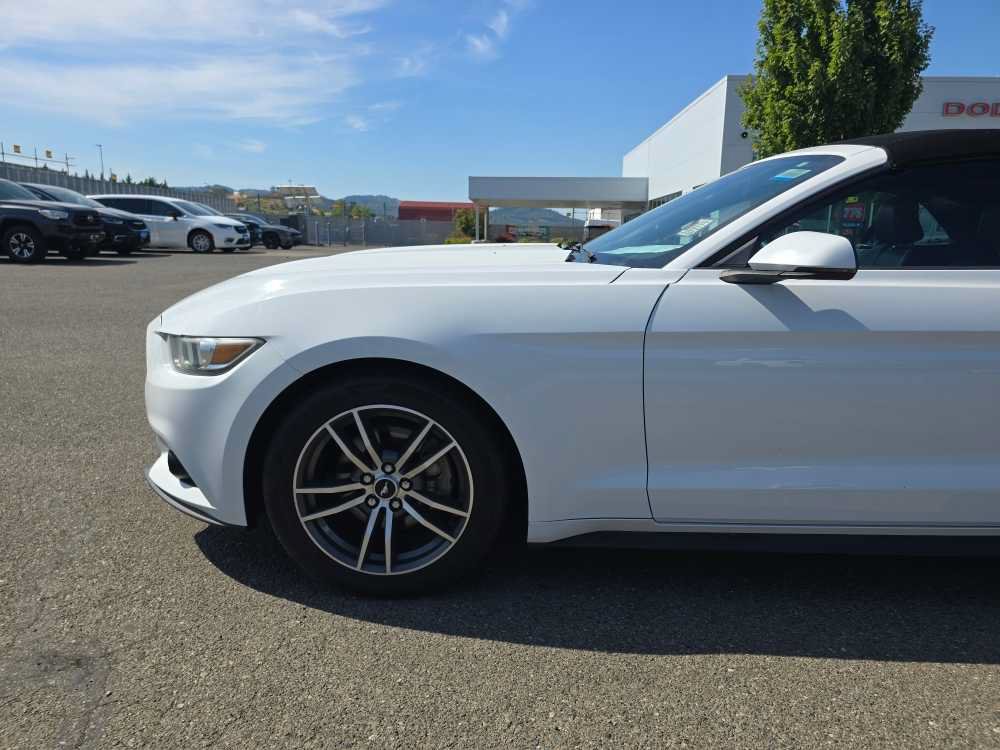 Used 2015 Ford Mustang Premium RWD image 13
