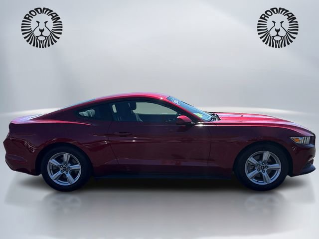 Used 2015 Ford Mustang Coupe RWD image 4