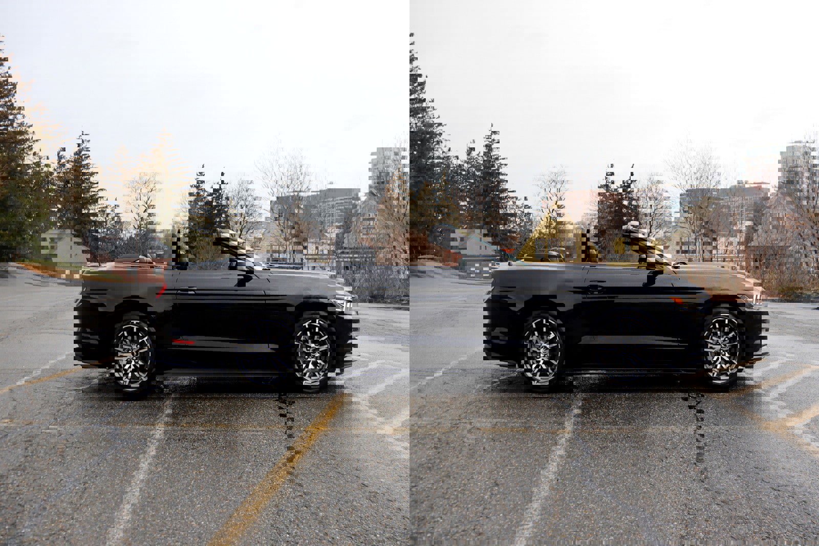 Used 2015 Ford Mustang Premium image 37