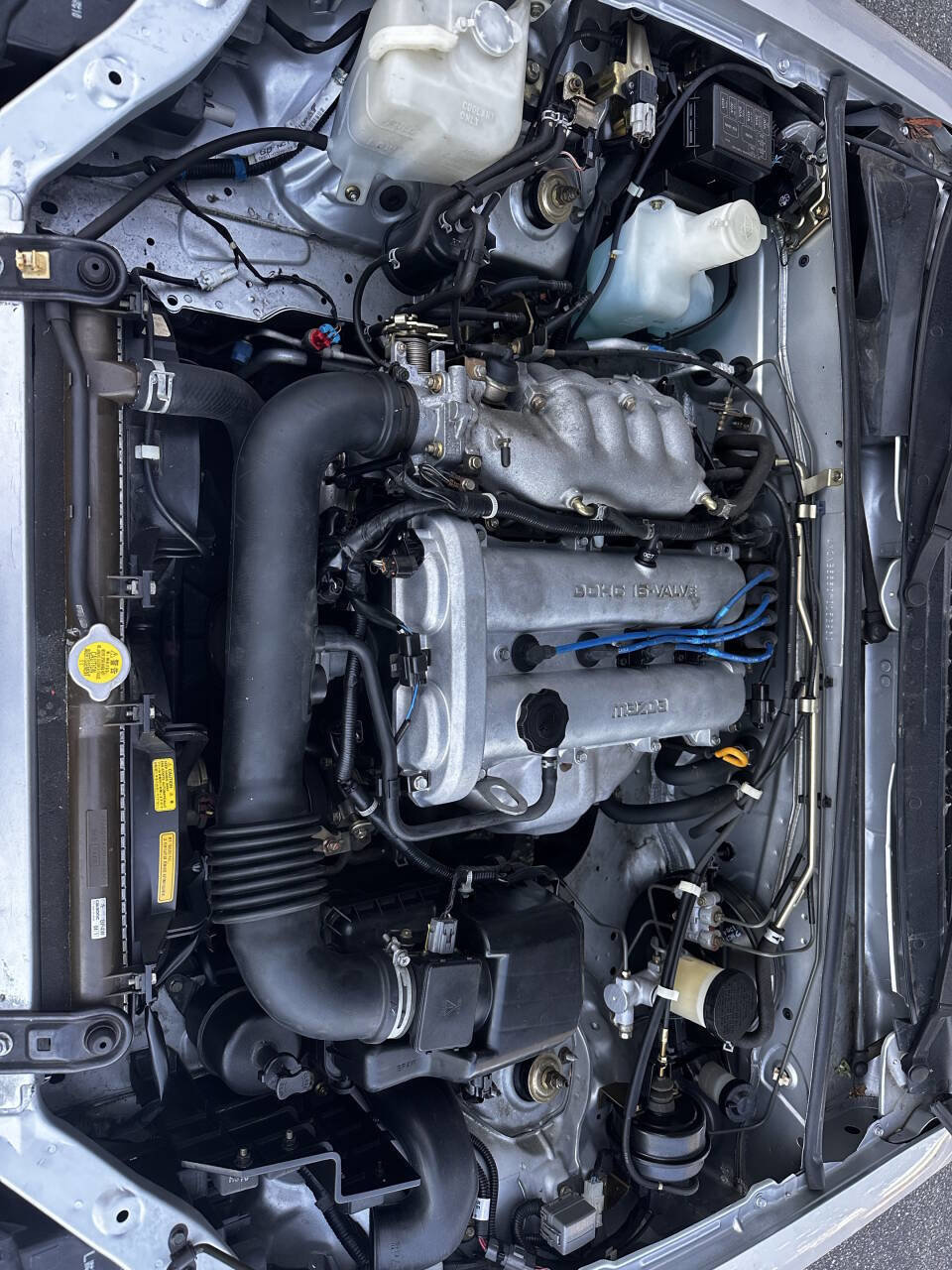 Used 2000 MAZDA MX-5 Miata LS RWD image 10