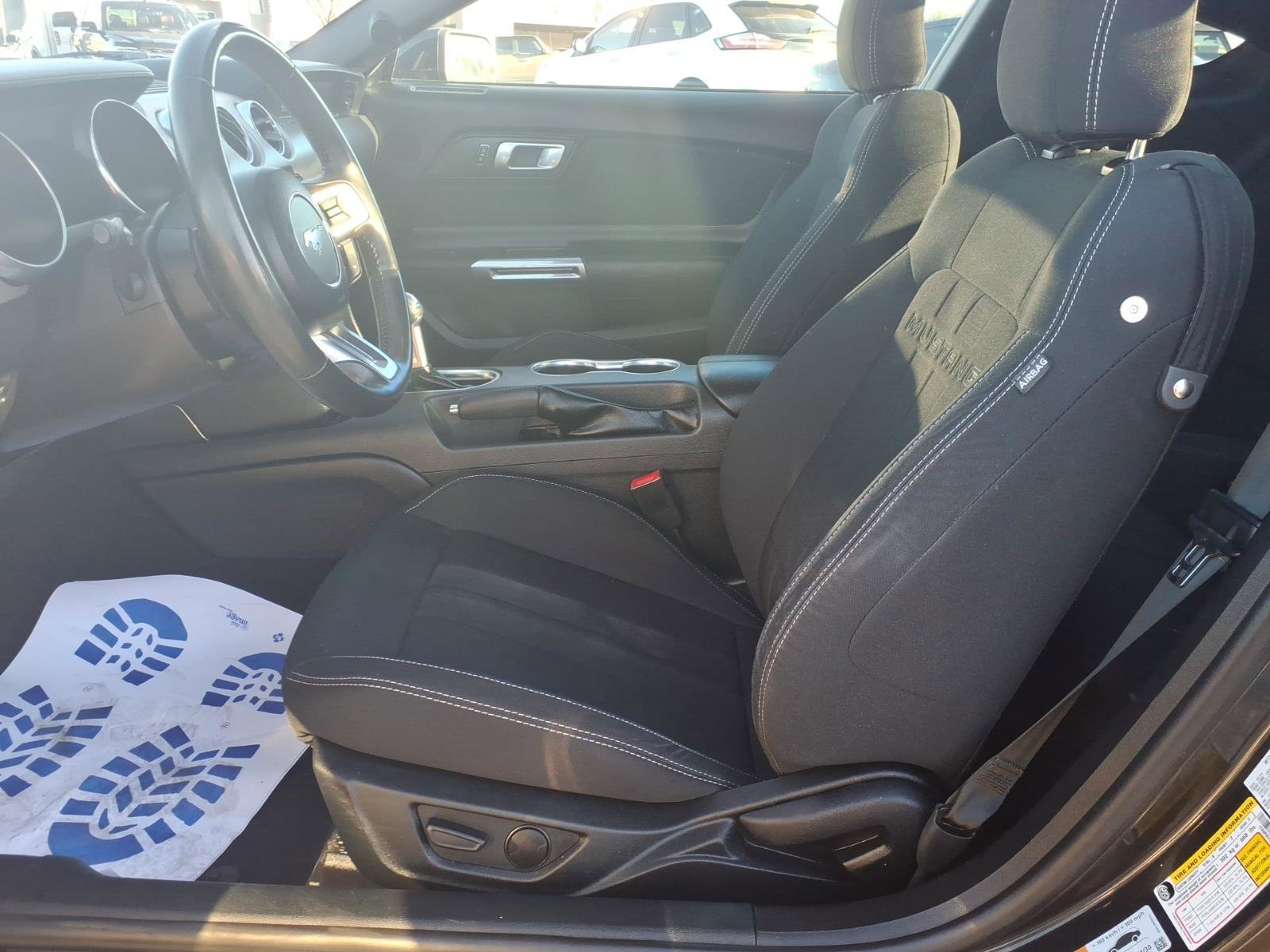 Used 2023 Ford Mustang GT w/ Equipment Group 301A image 15