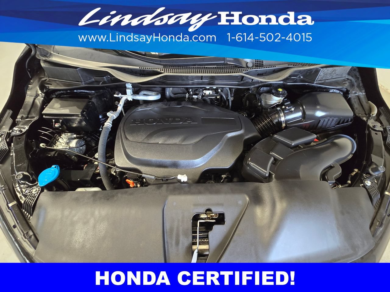 Certified 2023 Honda Odyssey Sport image 25