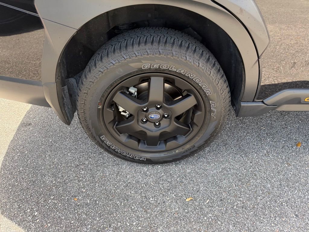 Used 2025 Subaru Outback Wilderness w/ Wilderness Package image 5