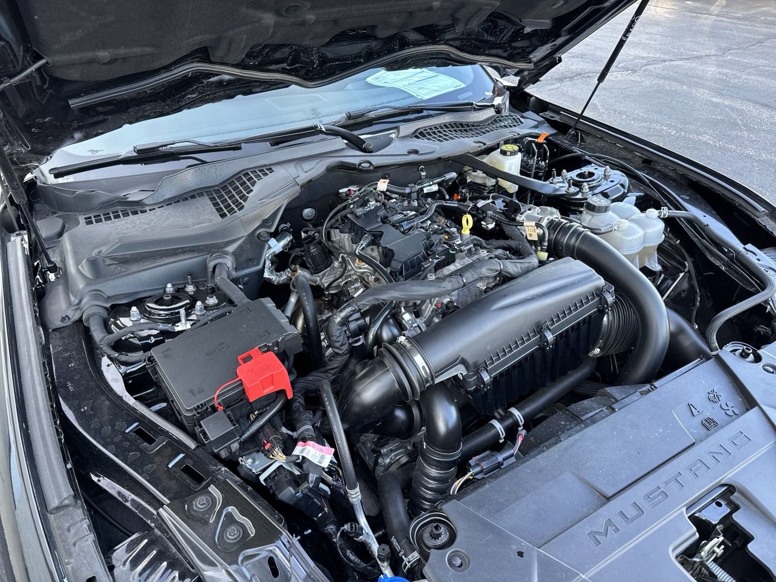 Certified 2024 Ford Mustang Premium image 56