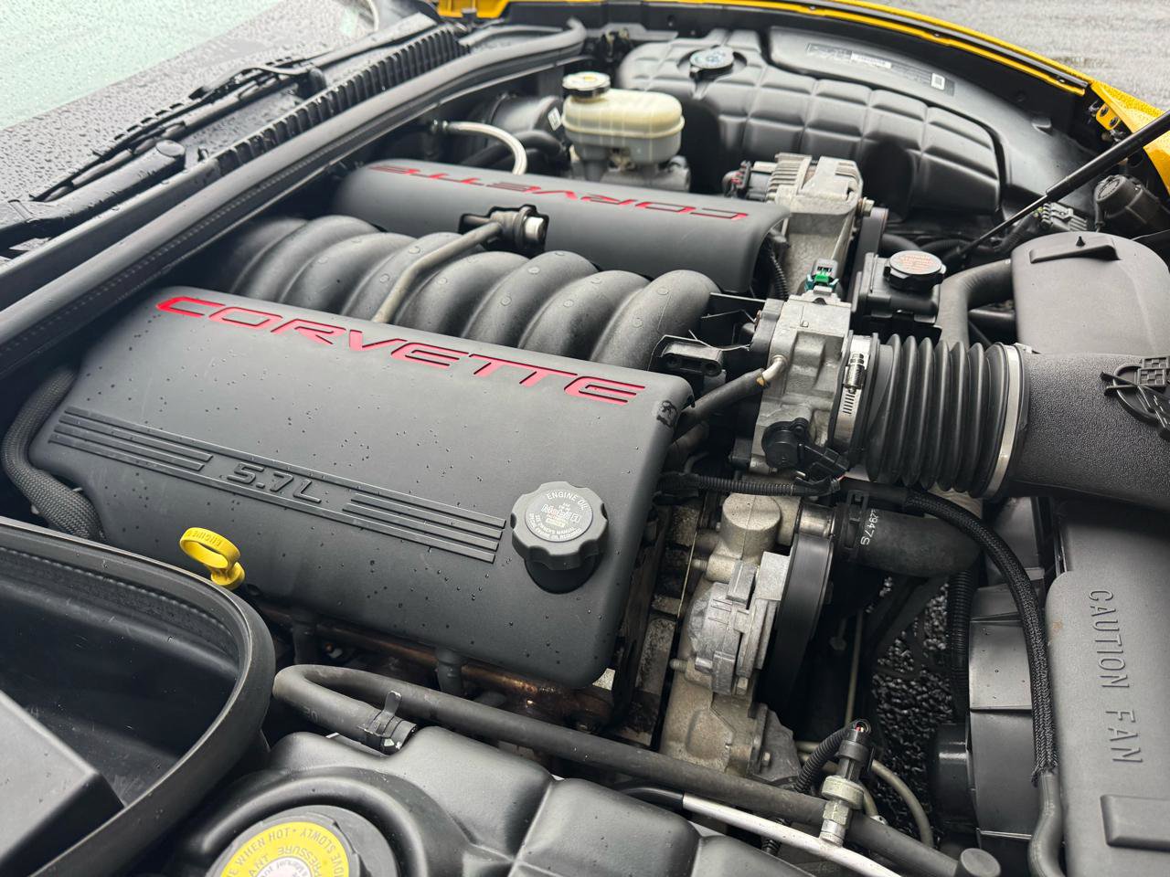 Used 2000 Chevrolet Corvette Coupe w/ Memory Pkg image 27