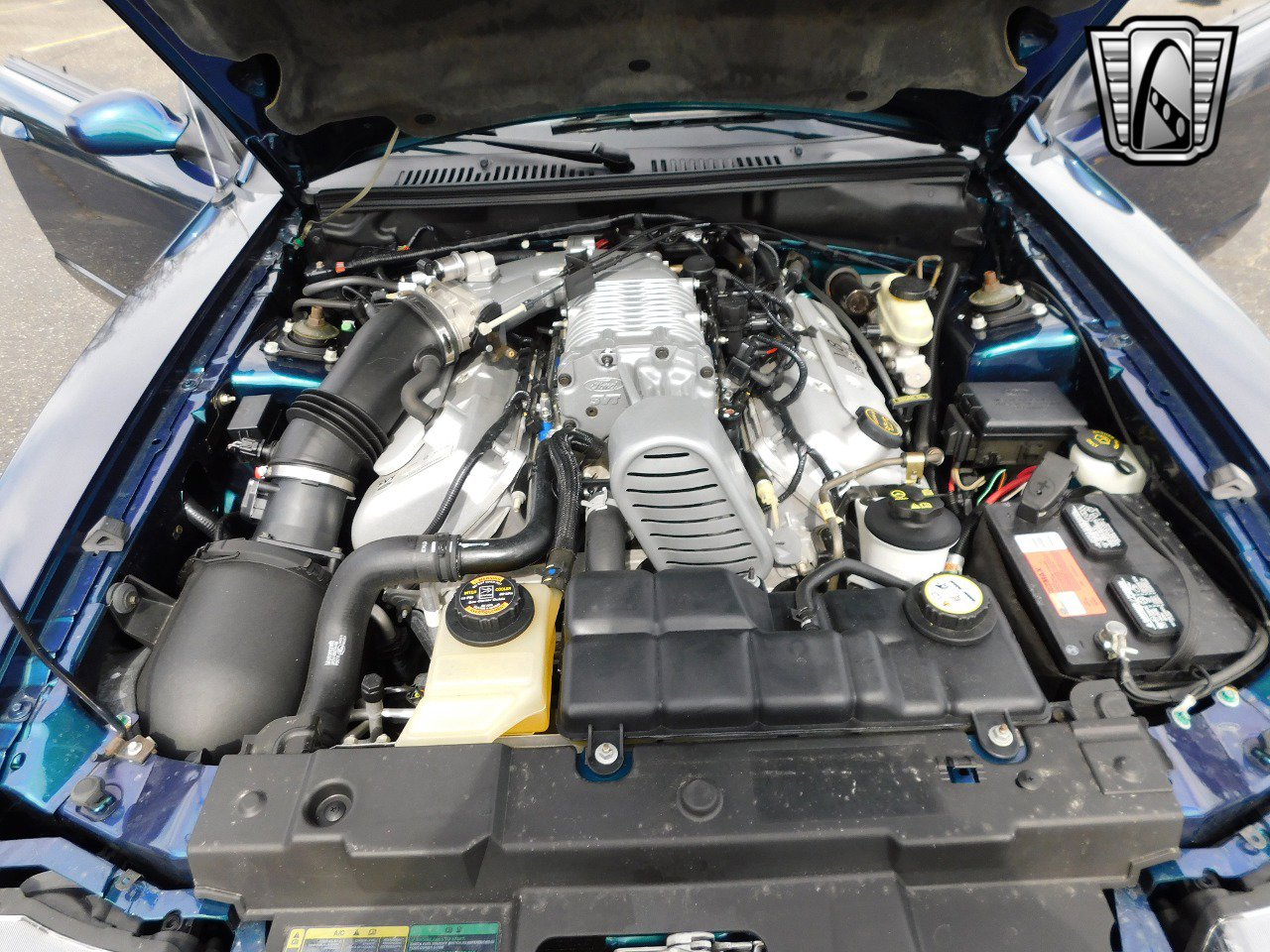 Used 2004 Ford Mustang Cobra image 13