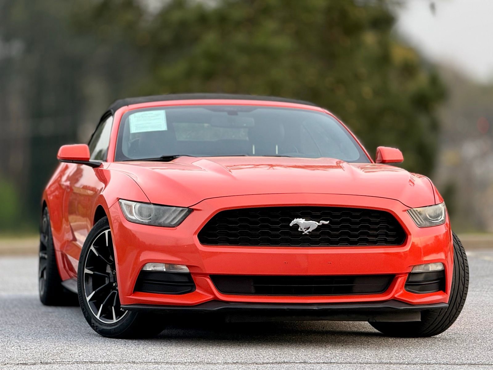 Used 2016 Ford Mustang Convertible image 4