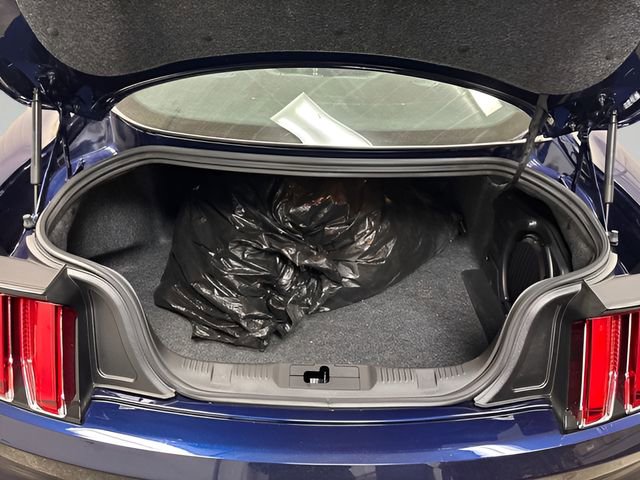 Used 2015 Ford Mustang 50 Years RWD image 20